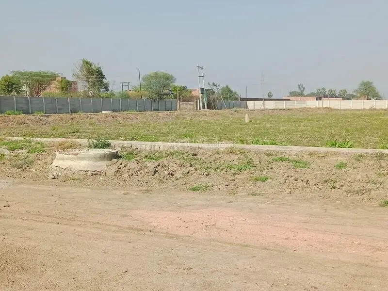 Insync Himveer Green