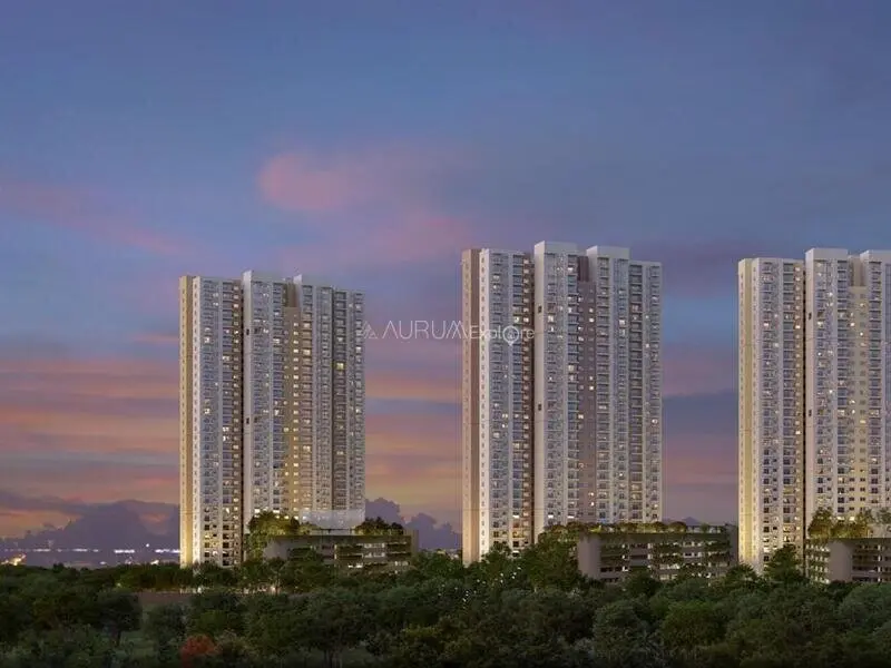 Alembic Cloud Forest