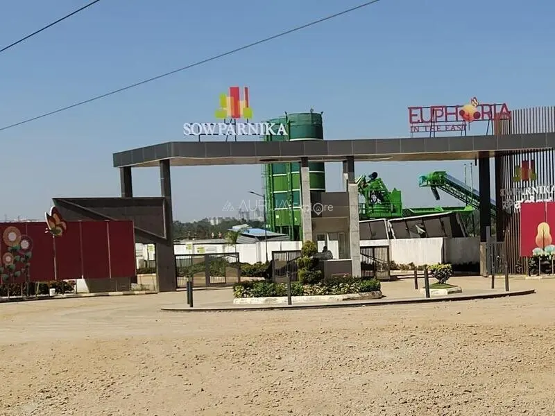 Euphoria In The East